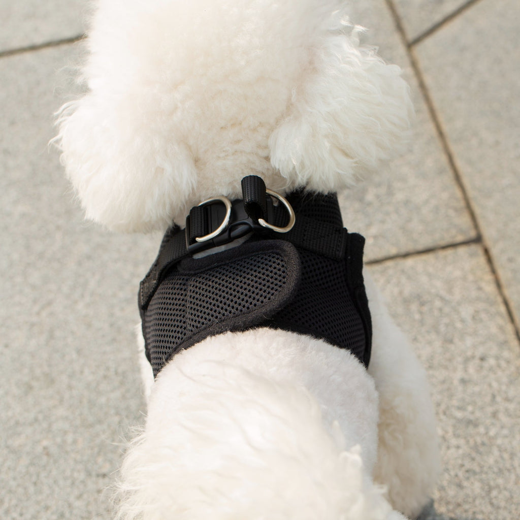 Mr. Peanut's PupTrek Soft Mesh Pet Harness with Matching Leash – Adjustable, Breathable, Choke-Free