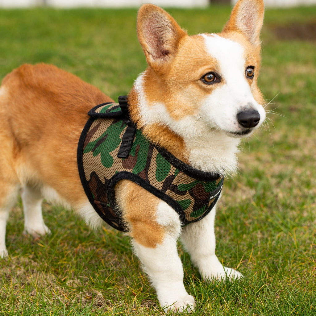 Mr. Peanut's PupTrek Soft Mesh Pet Harness with Matching Leash – Adjustable, Breathable, Choke-Free
