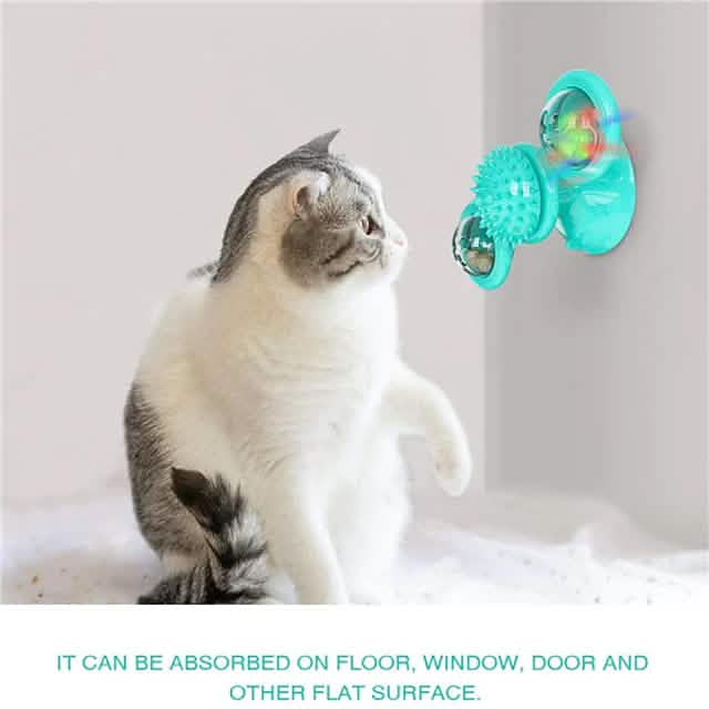 Cat Teases Interactive Pet Toy
